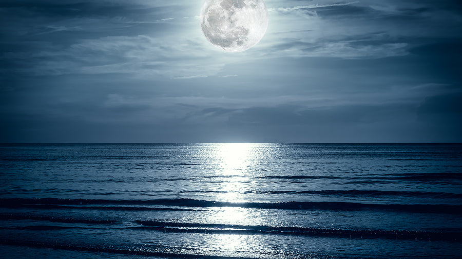 The Magic of May: Full Moon Fishing Tides