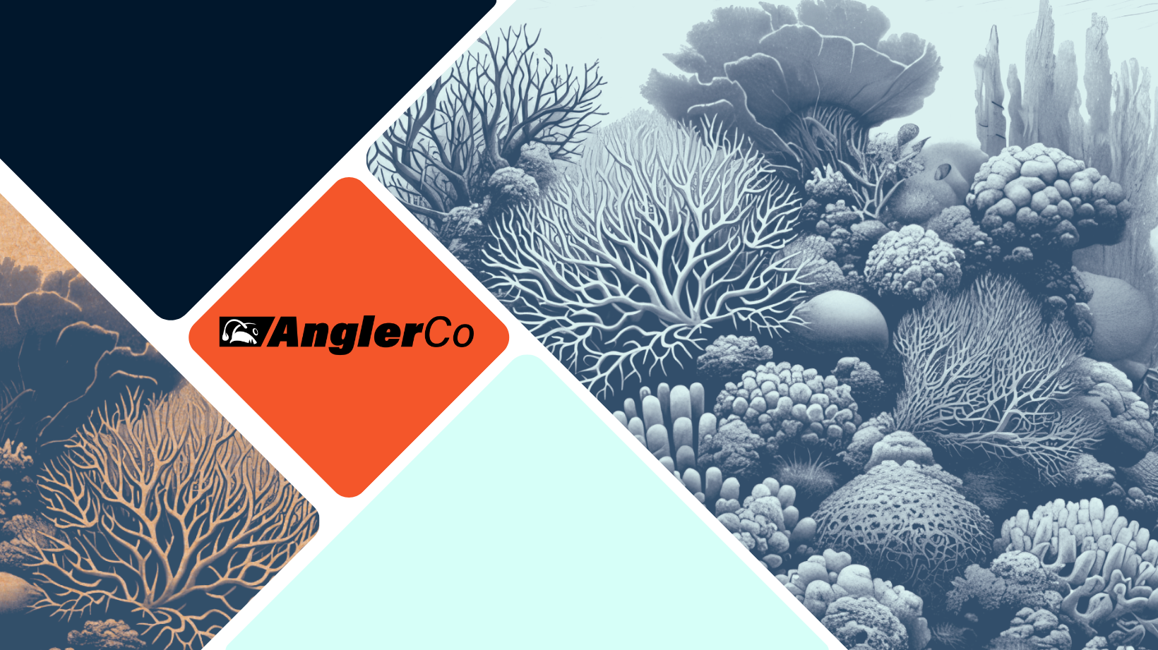 Witness First Hand How AnglerCo Redefines Fishing Gear