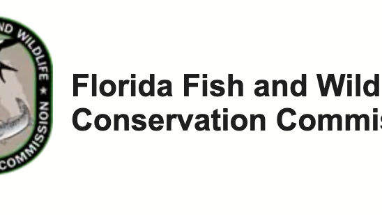 Florida Closes Red Grouper Season in Gulf Waters: Begin July 1st