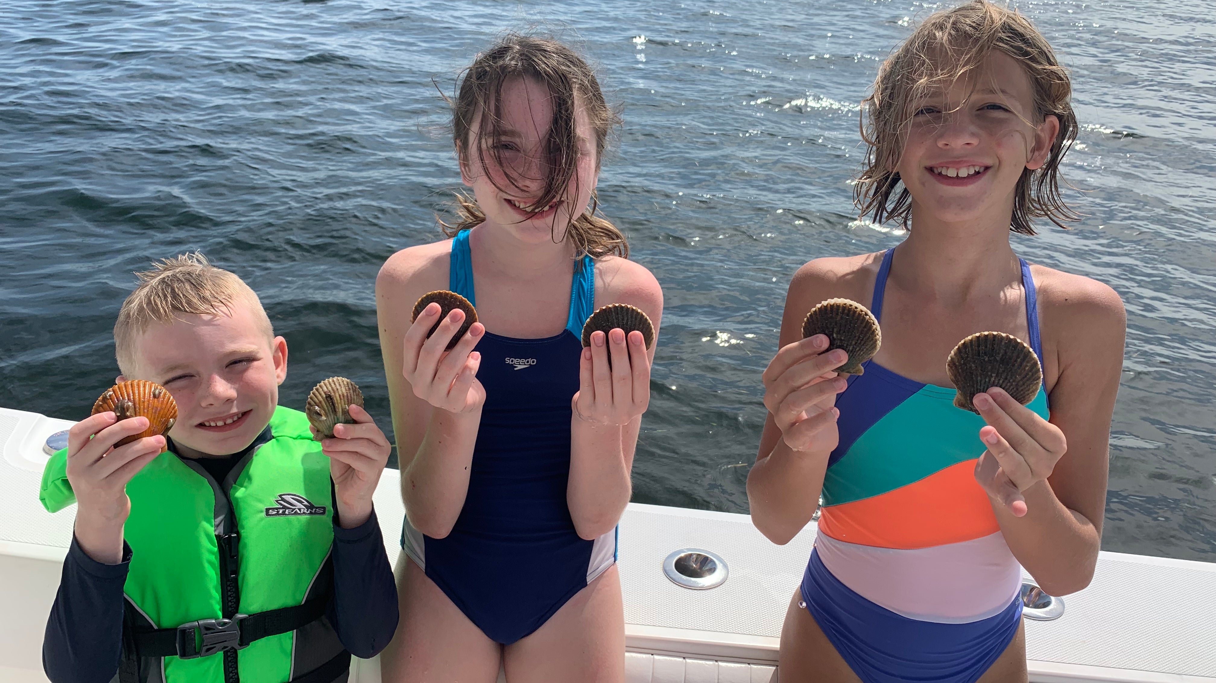 Bay Scallop Season Opening in Florida's Fenholloway – Suwannee River Zone