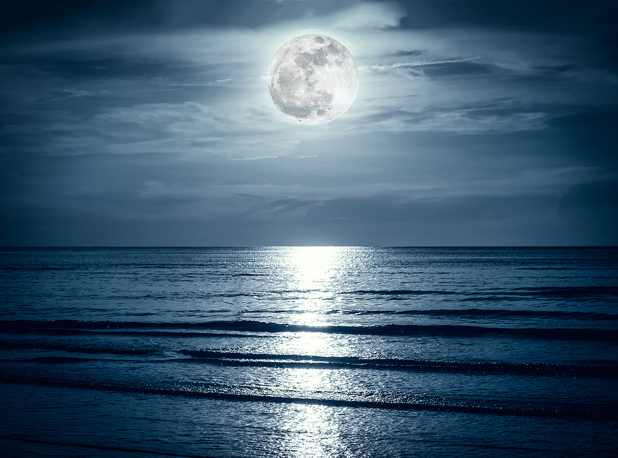 The Magic of May: Full Moon Fishing Tides