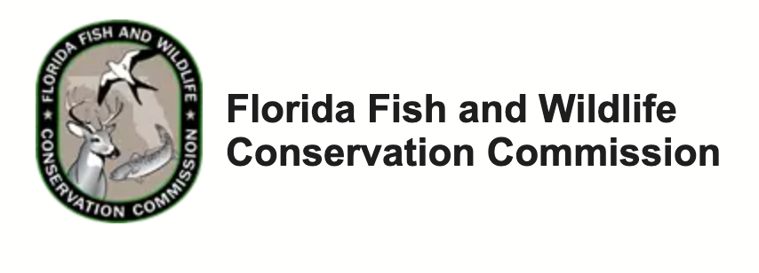 Florida Closes Red Grouper Season in Gulf Waters: Begin July 1st