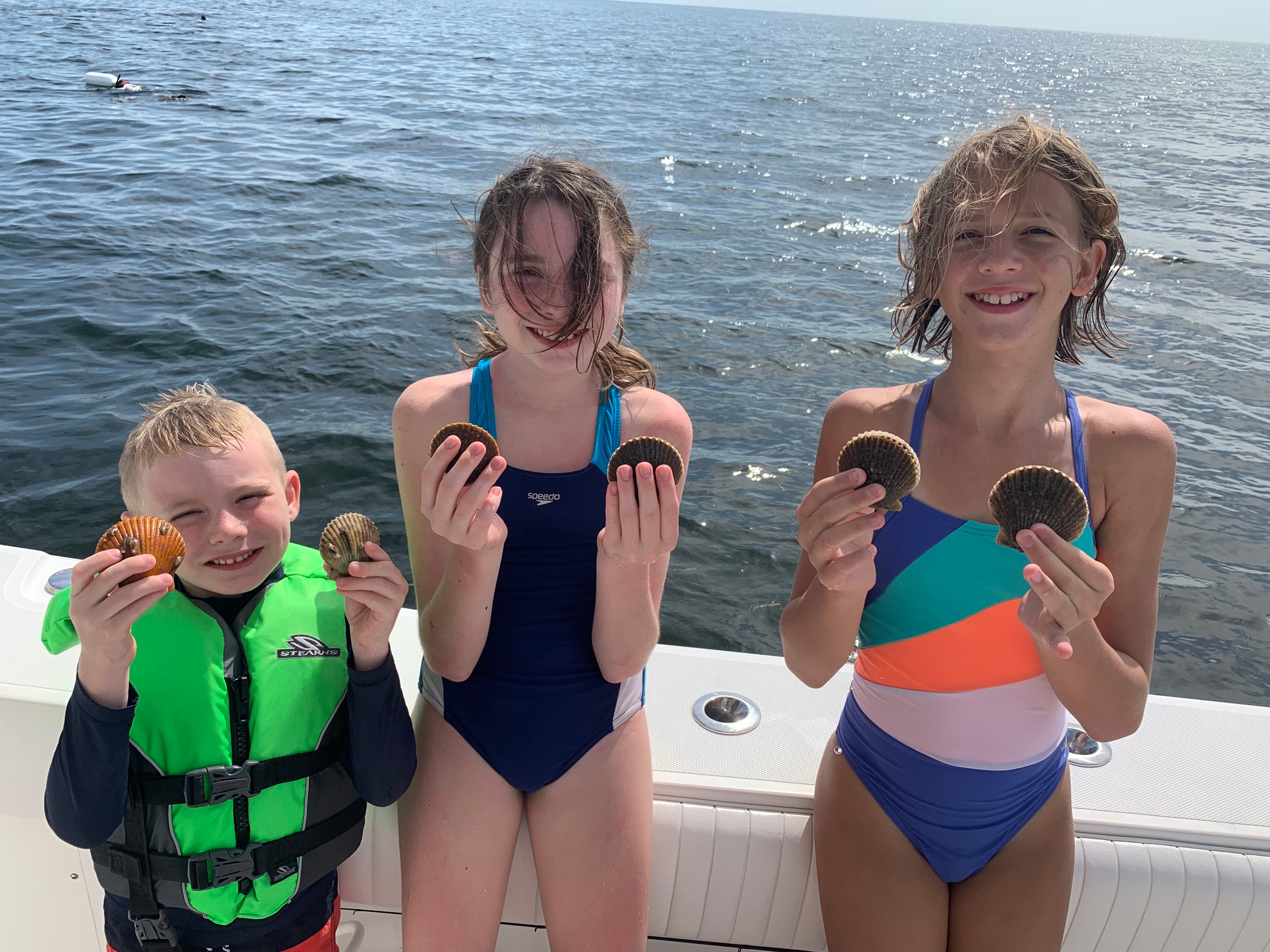 Bay Scallop Season Opening in Florida's Fenholloway – Suwannee River Zone